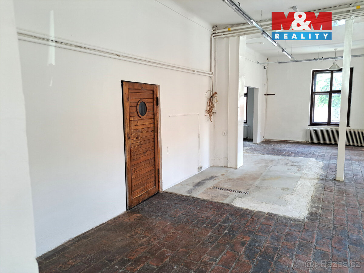 Pronájem obchodního prostoru, 221m2, ul. Riegrova, Brno - 6