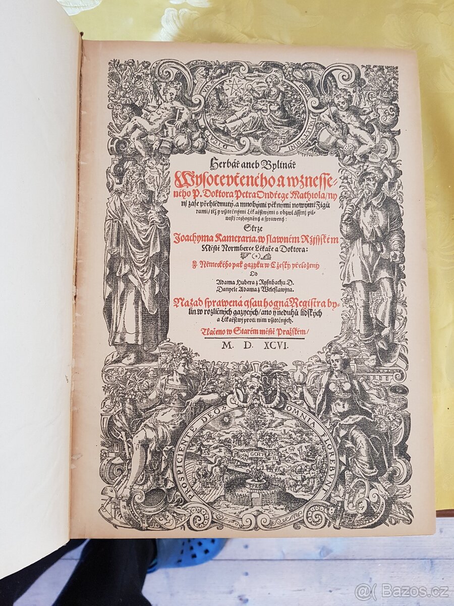 Herbář, aneb, Bylinář Matthioli / Mattioli - 6