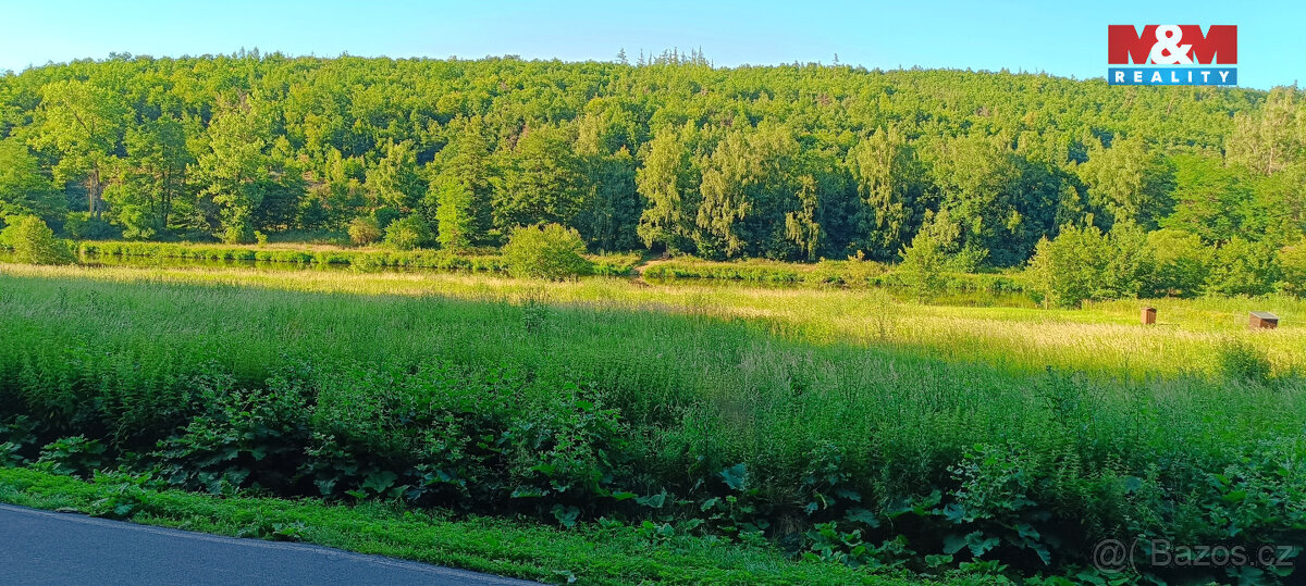 Prodej louky, 1665 m², Nižbor - 6