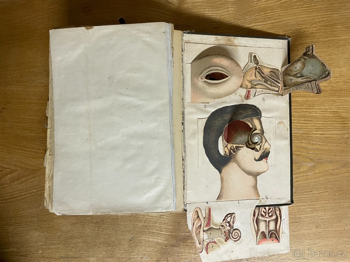 Bilzovo nové léčení přirozené první vydání 1897 - 6