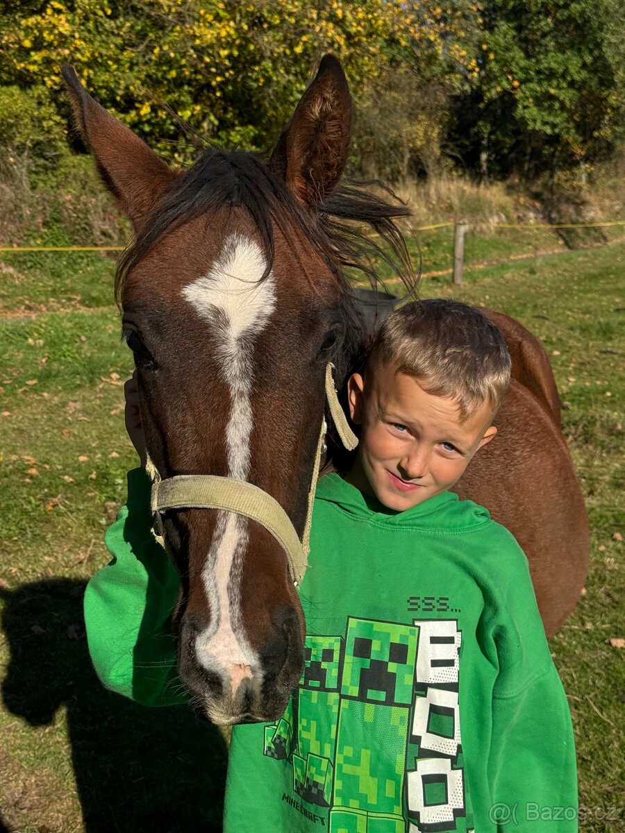 Úžasný hřebeček - 6