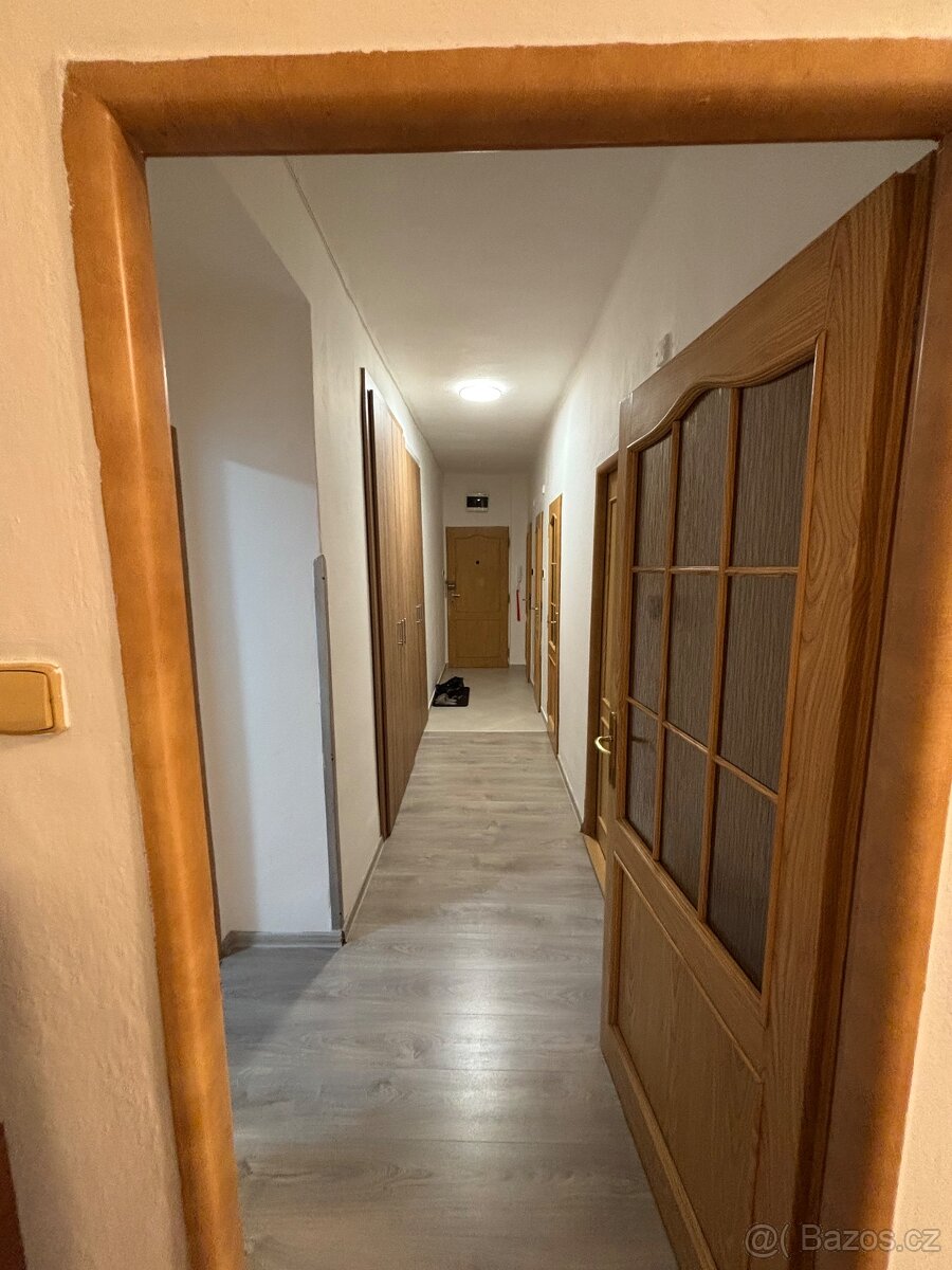 Spolubydlící do samostatného pokoje - 6