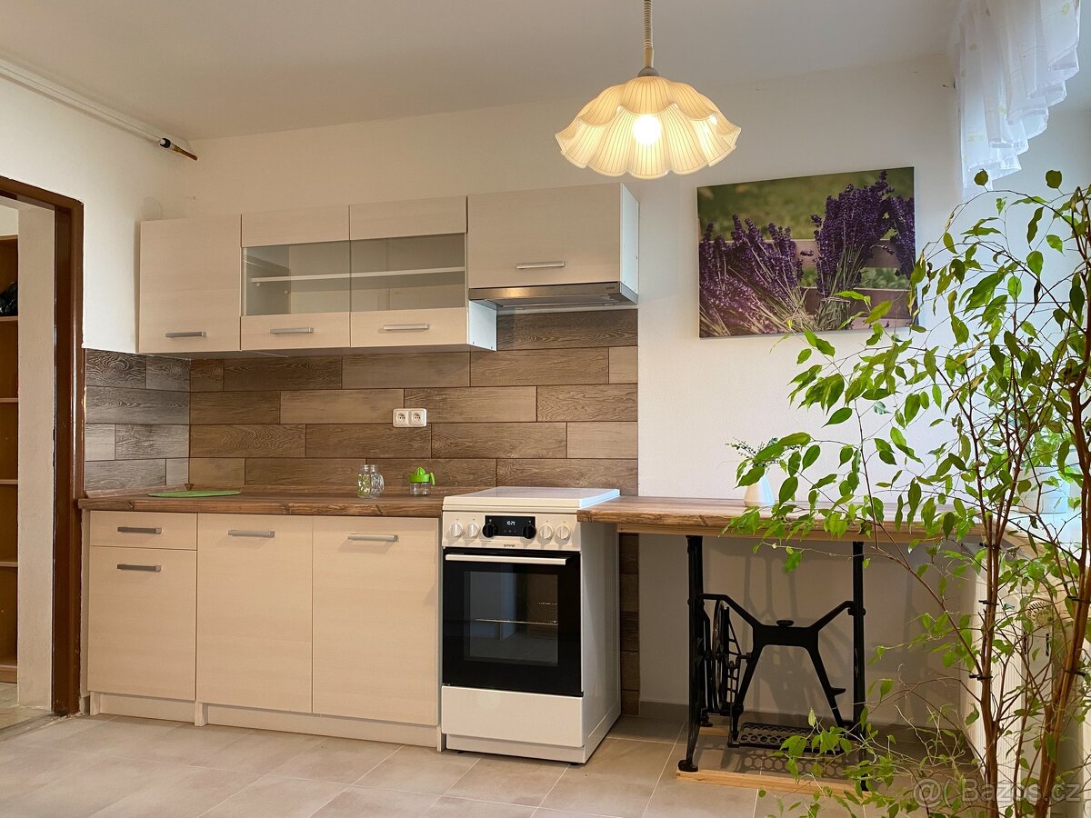 Prodej rodinného domu – bydlení i podnikání v Holešově - 6