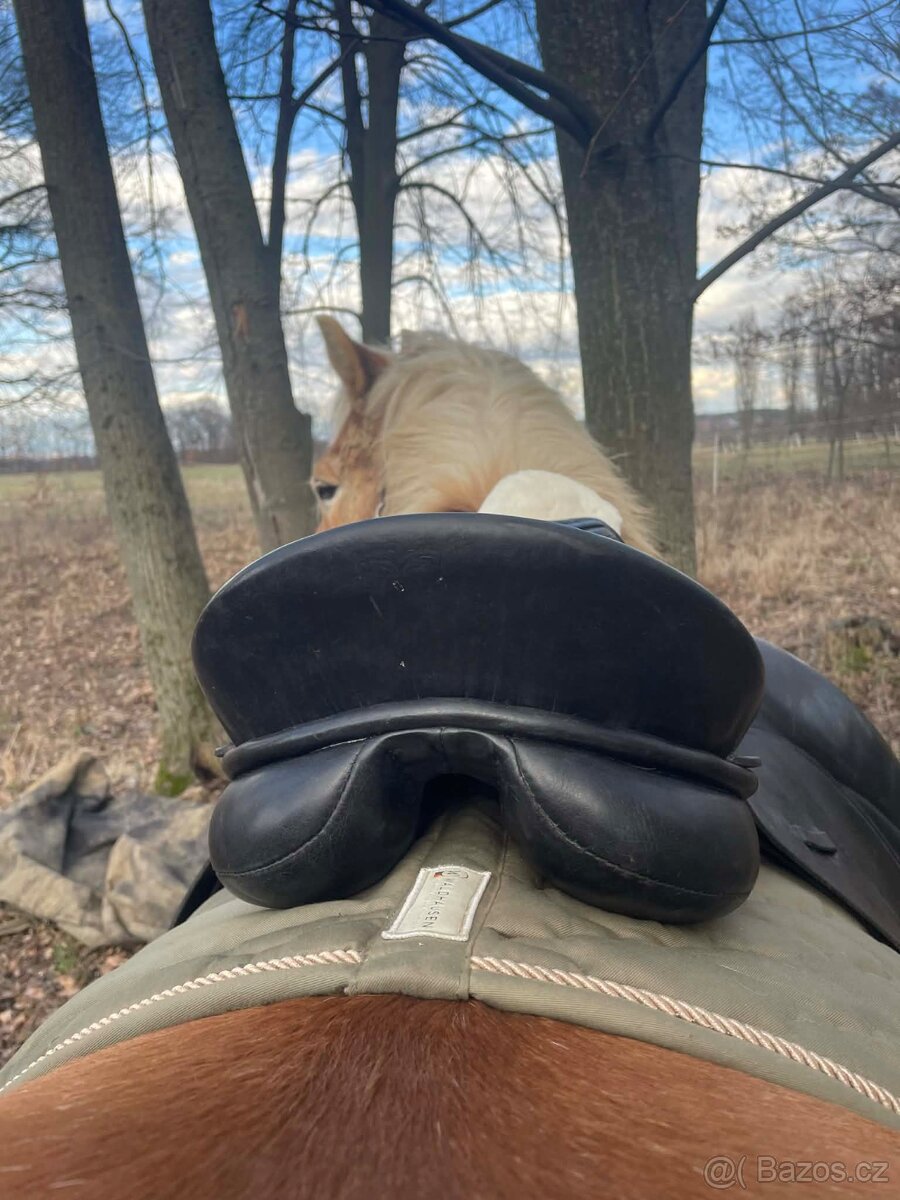 Drezurní sedlo Kentaur - 6