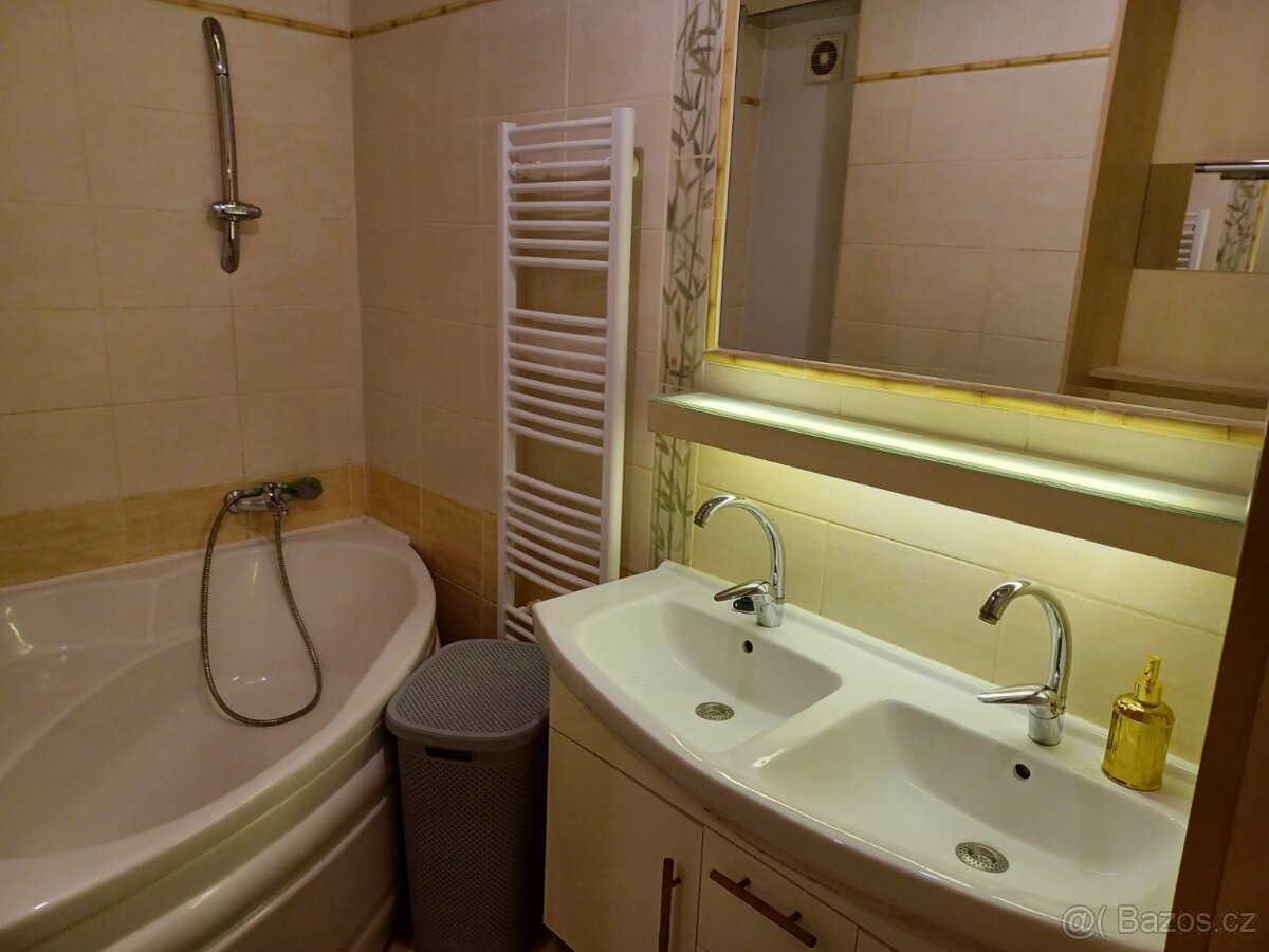 Pronajmu 2+kk 40m2 v centrum Brna- Veveří. - 6