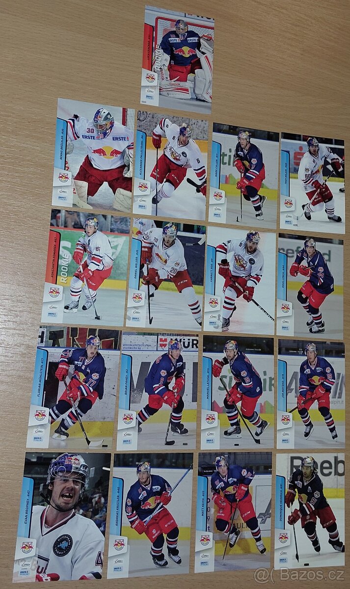 Hokejové kartičky EBEL 13/14 - 6