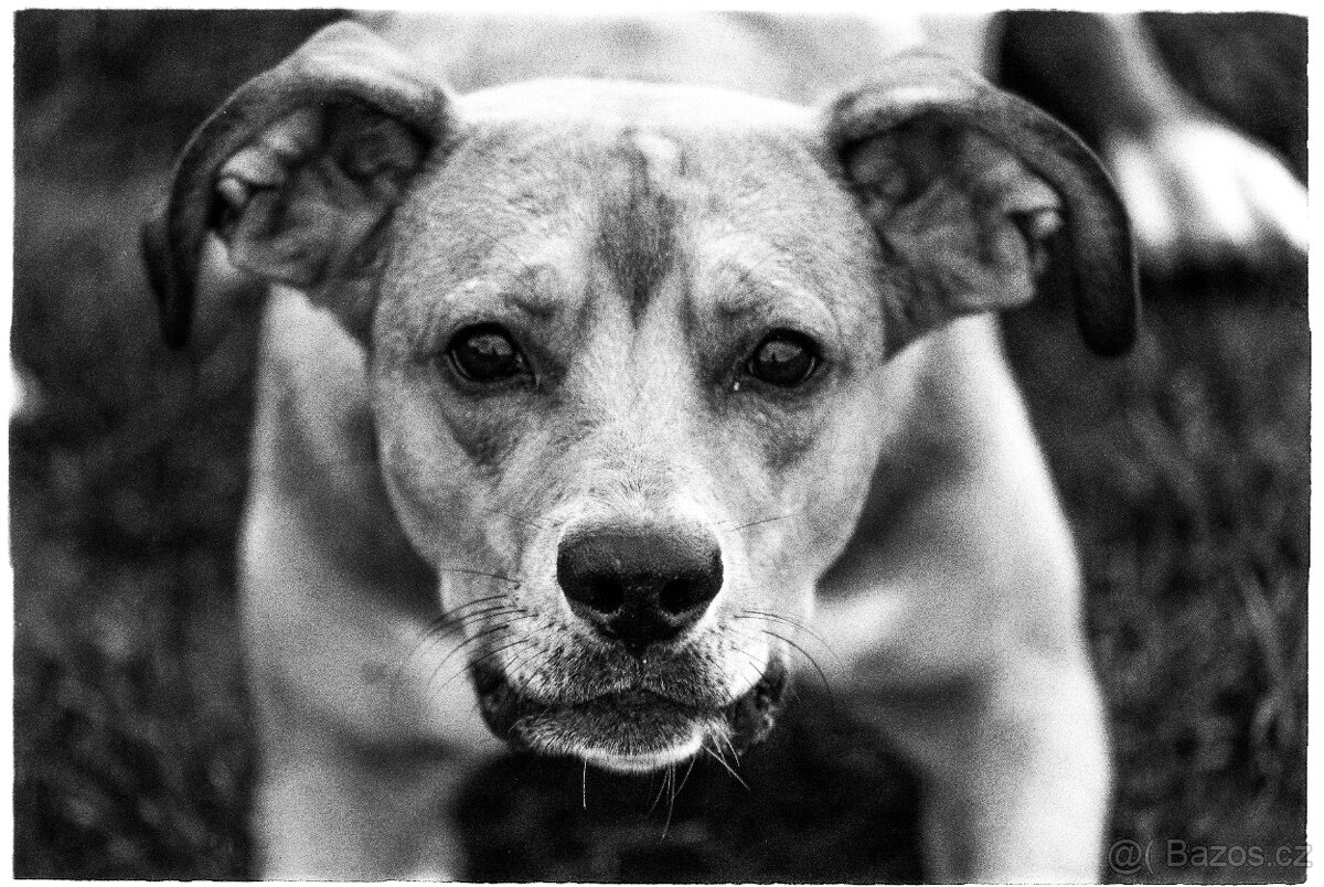 Nikon F4 + Nikon AF Nikkor 24-50mm f/3.3-4.5 + Nikon 70-210m - 6