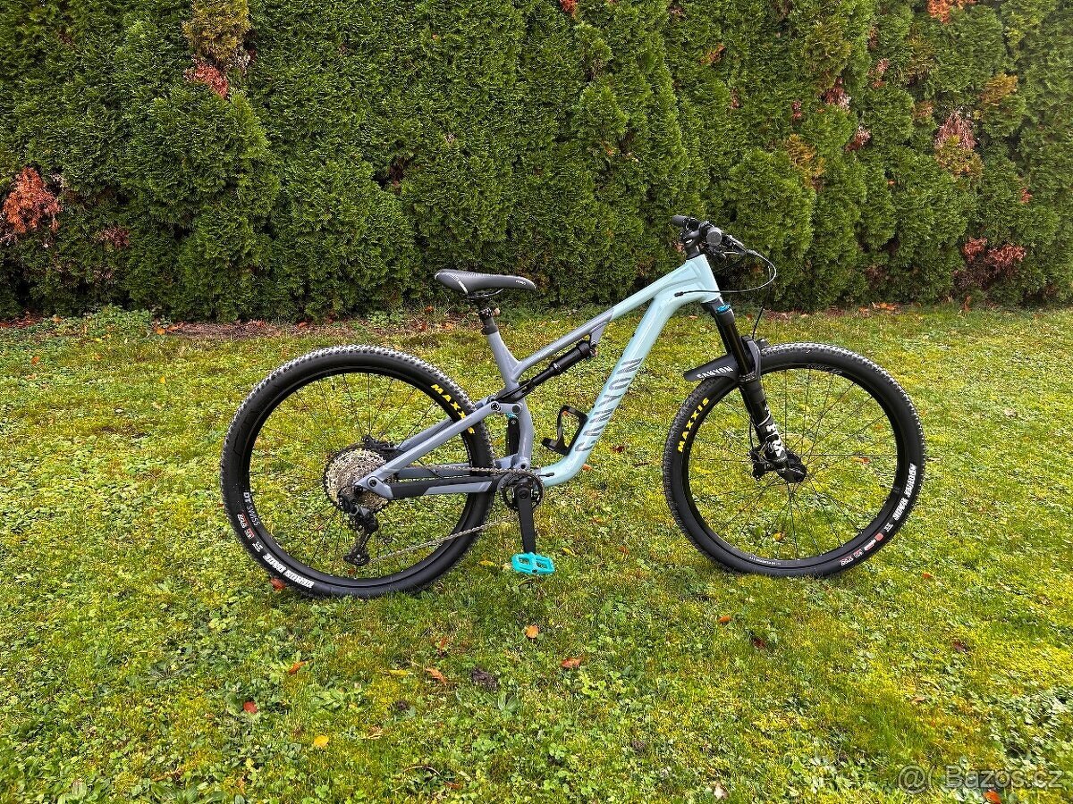 Canyon neuron 6 - 6
