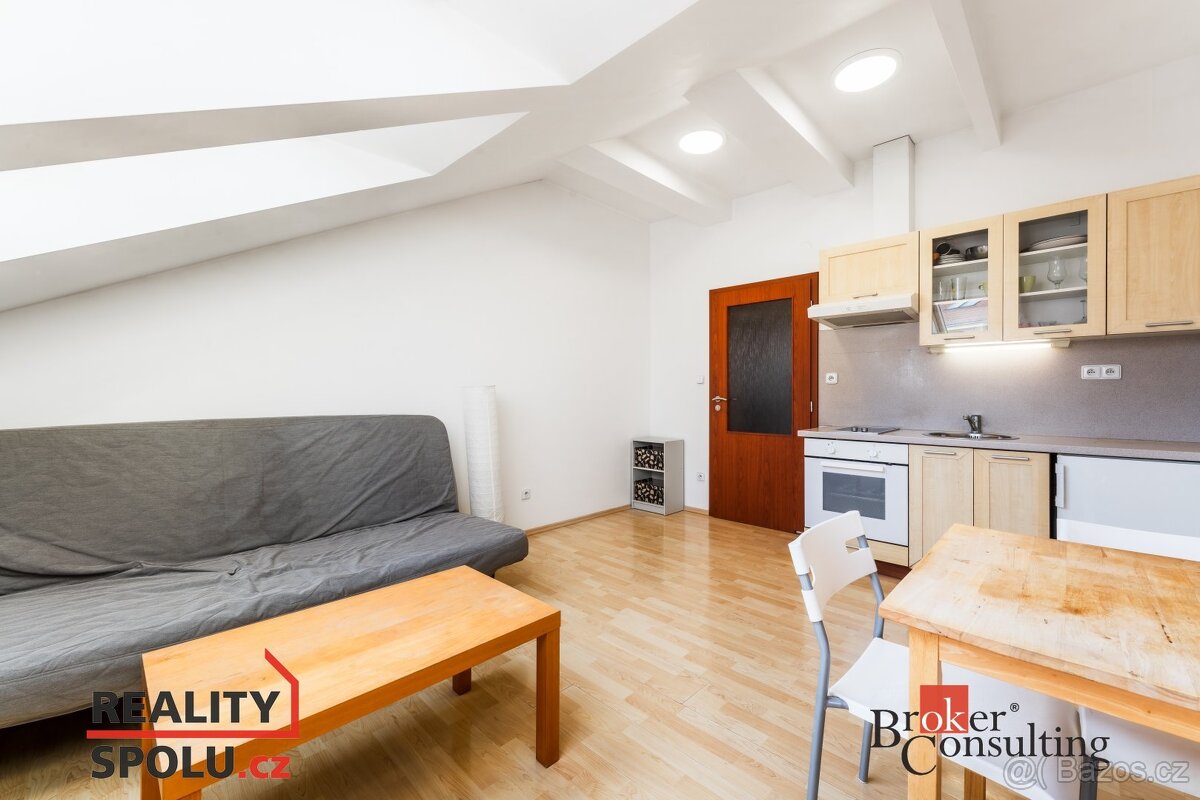 Prodej, byty/1+kk, 22 m2, Körnerova 219/2, Zábrdovice, 60200 - 6