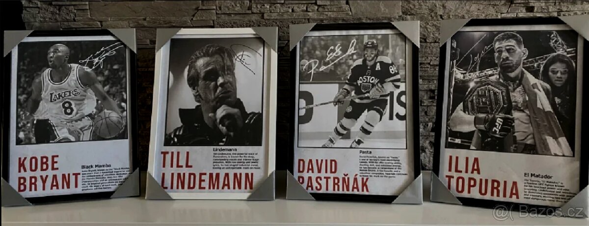 Charles Oliveira - PrintArt s rámem - 6