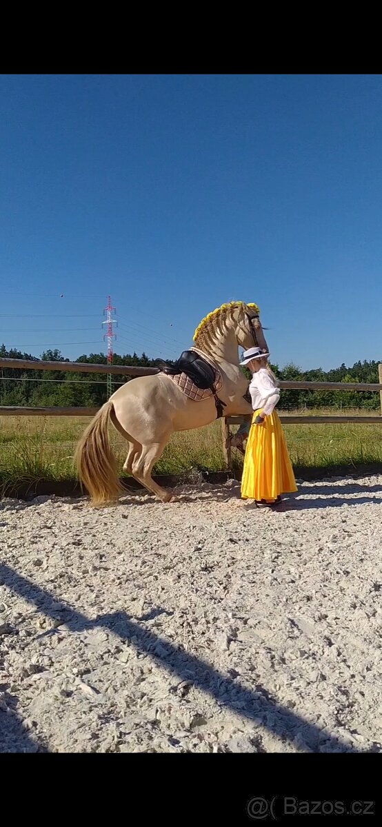 Prodej chlazených a mražených inseminačních dávek - 6