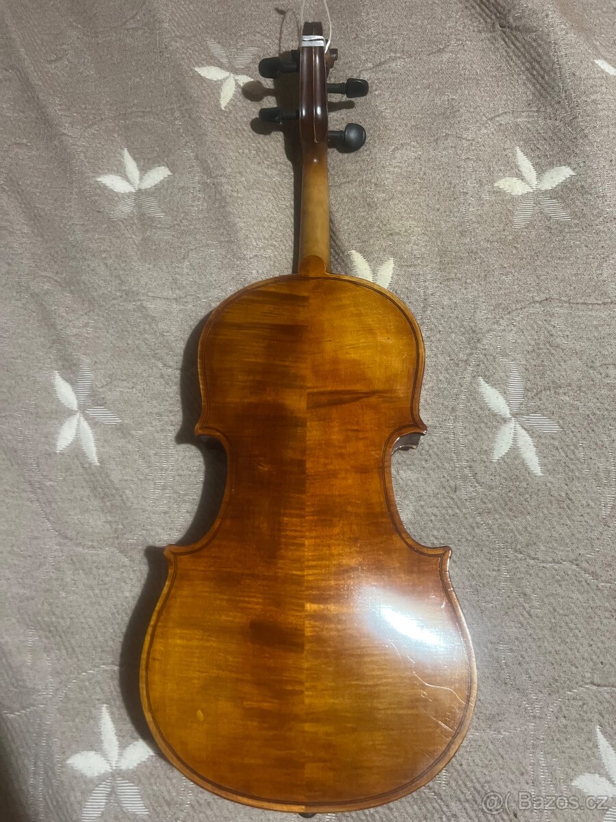 Viola 42.5 - 6