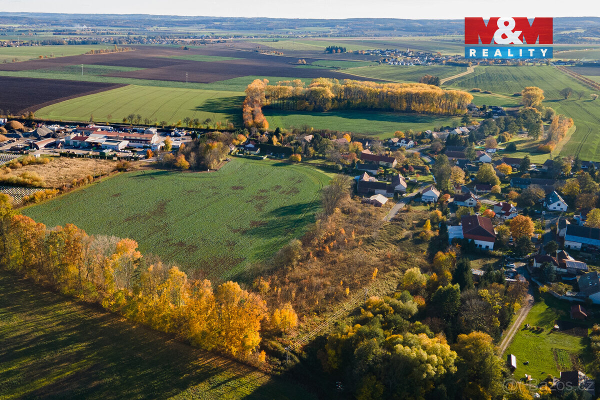 Prodej pozemku k bydlení, 15065 m², Čepí - 6