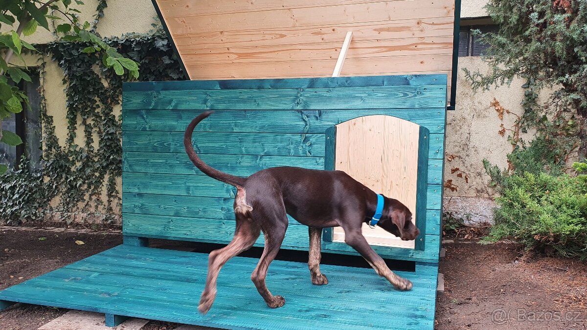 psí bouda, boudy pro psy - 6