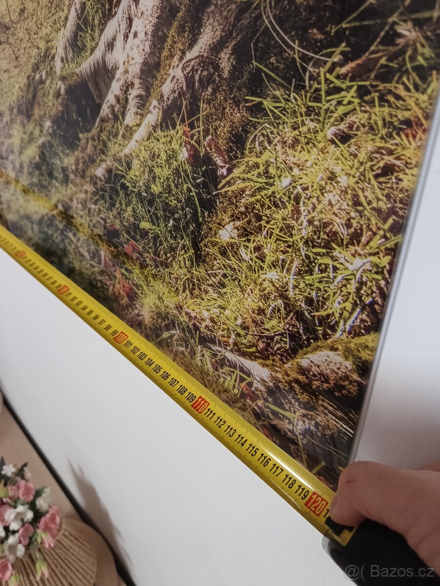 Fotoobraz ve skle 120x80 cm - 6