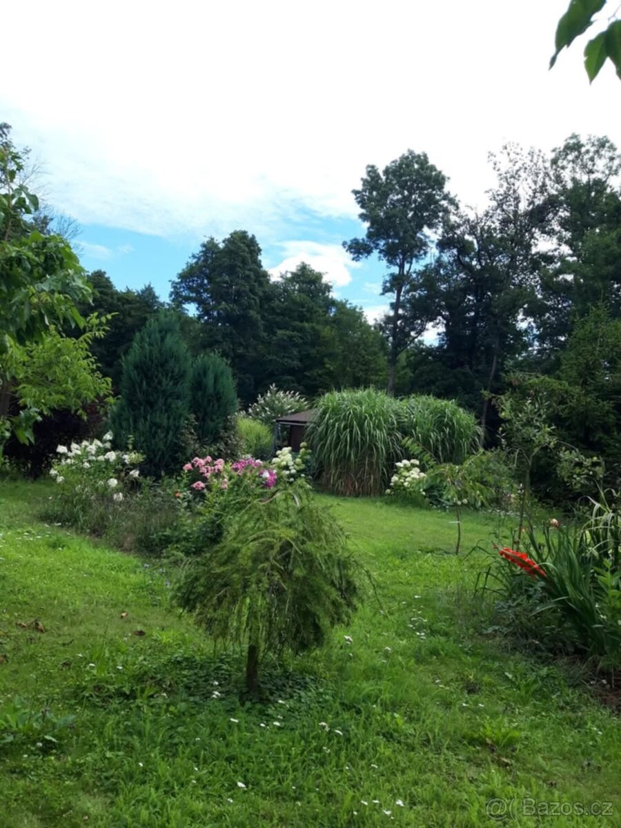 Nabízím osazení vaší zahrady - 6