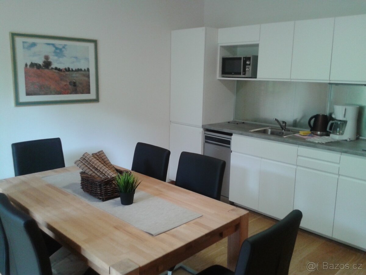 Rezidence Kovárna - 6