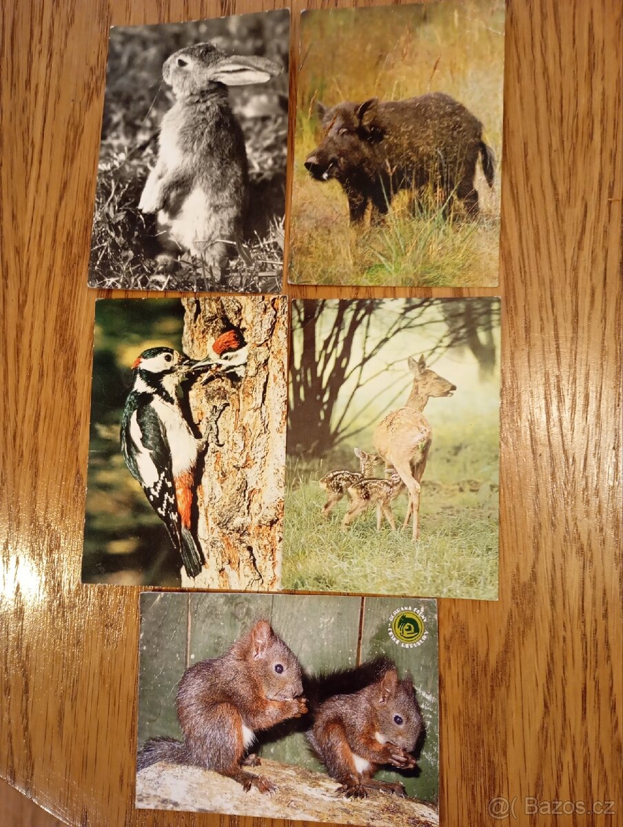 Staré pohlednice 1800ks - 6