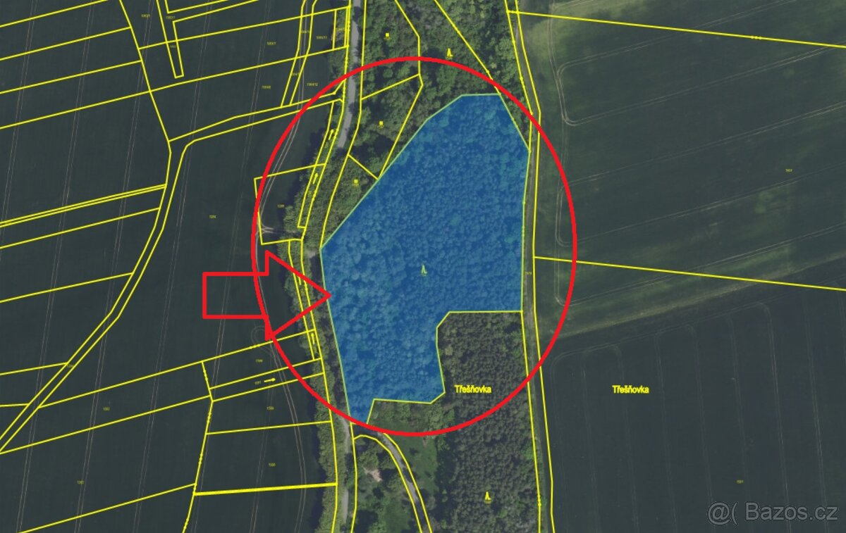 Prodej lesního pozemku k.ú. Vinaře - 6