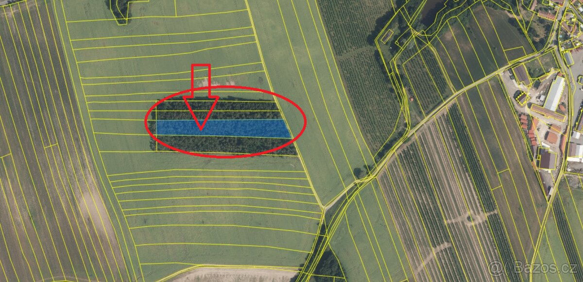 Prodej lesního pozemku k.ú. Kojice - 6