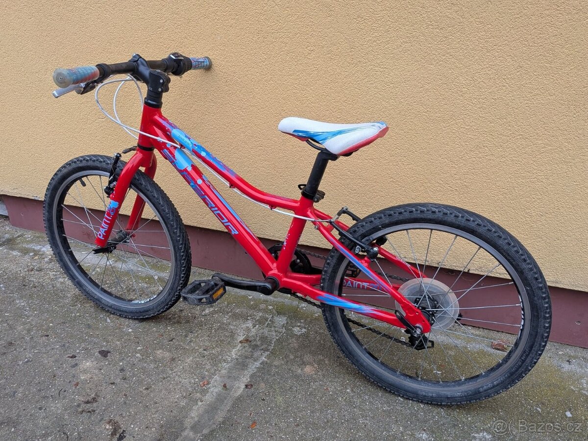 dětské kolo Superior Paint XC 20 - 6