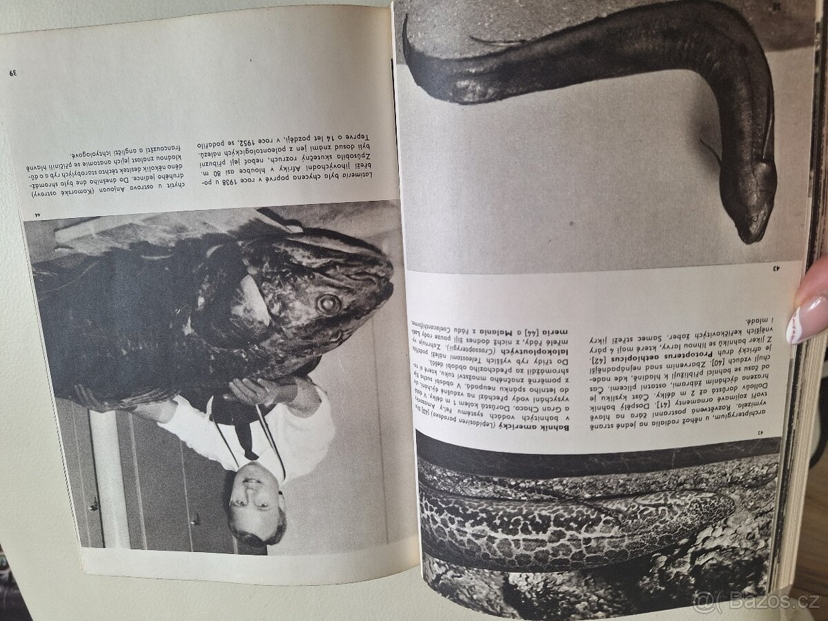 Velký obrazový atlas ryb - 6