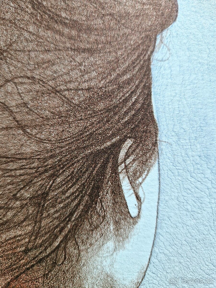 Bruno Bruni - (podpísaná litografia) ,(figurálny realizmus) - 6