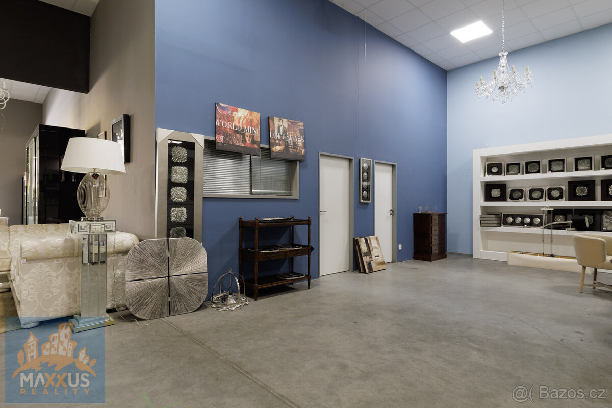 Pronájem obchodních prostor/showroomu (396,9 m2), SHOP PARK - 6