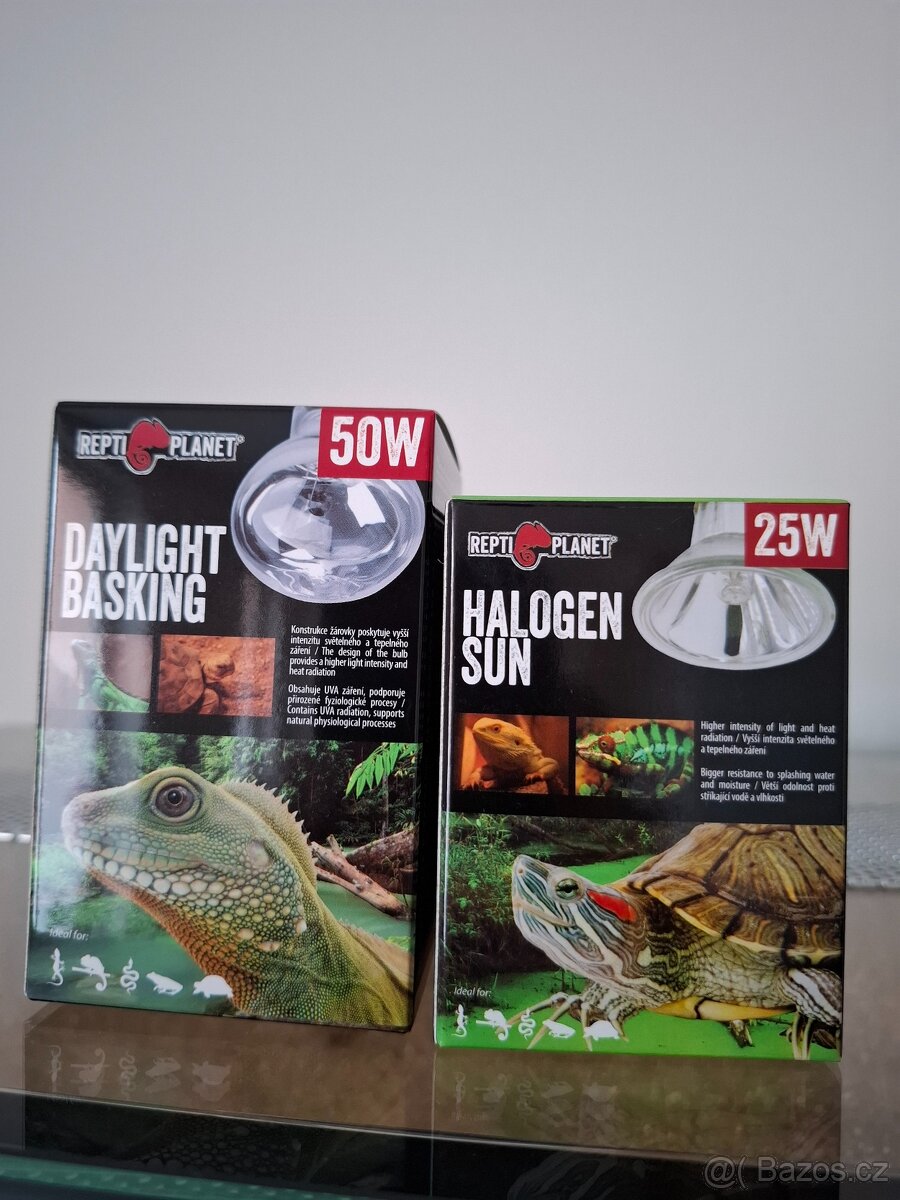 Terárium s 3D stěnou - 6