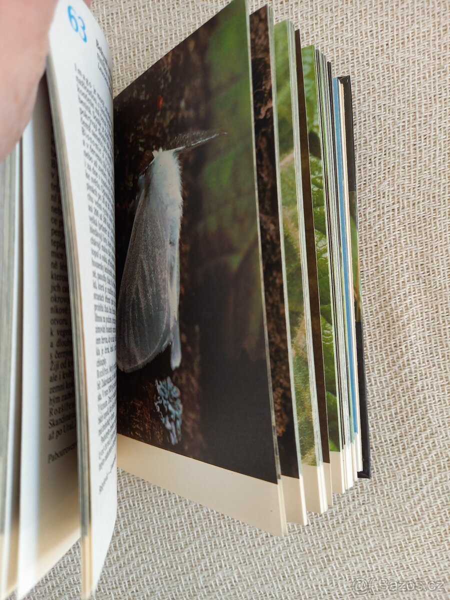 Kapesní atlas motýlů - 6