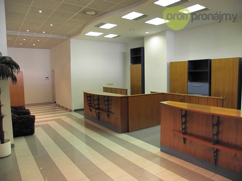 Pronájem obchodního prostoru 170 m² - 6