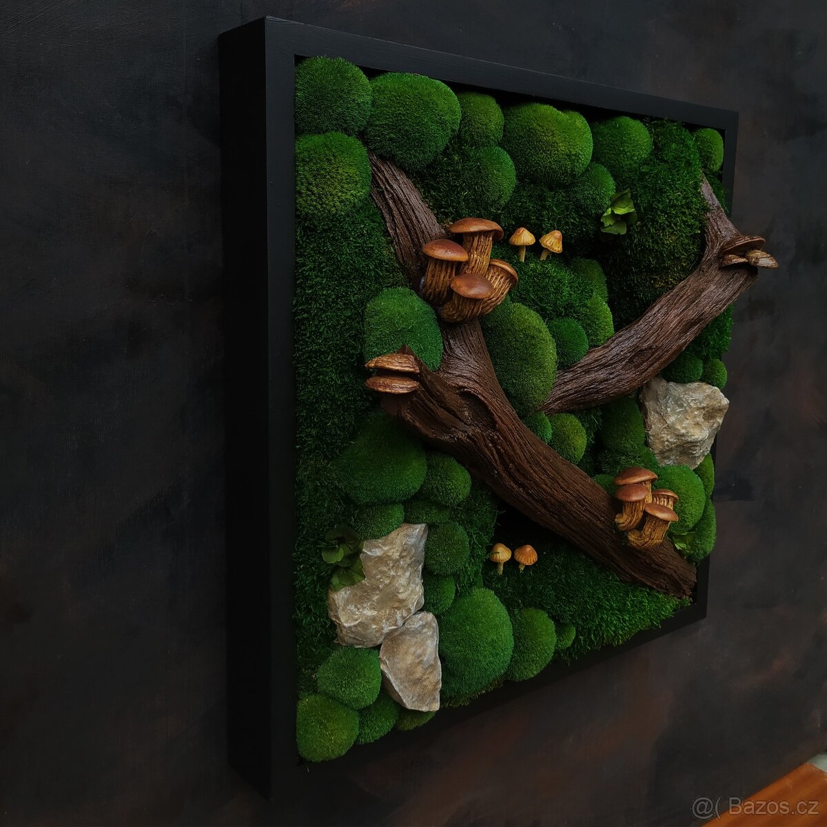 Mechový obraz / obraz ze stabilizovaného mechu - 6