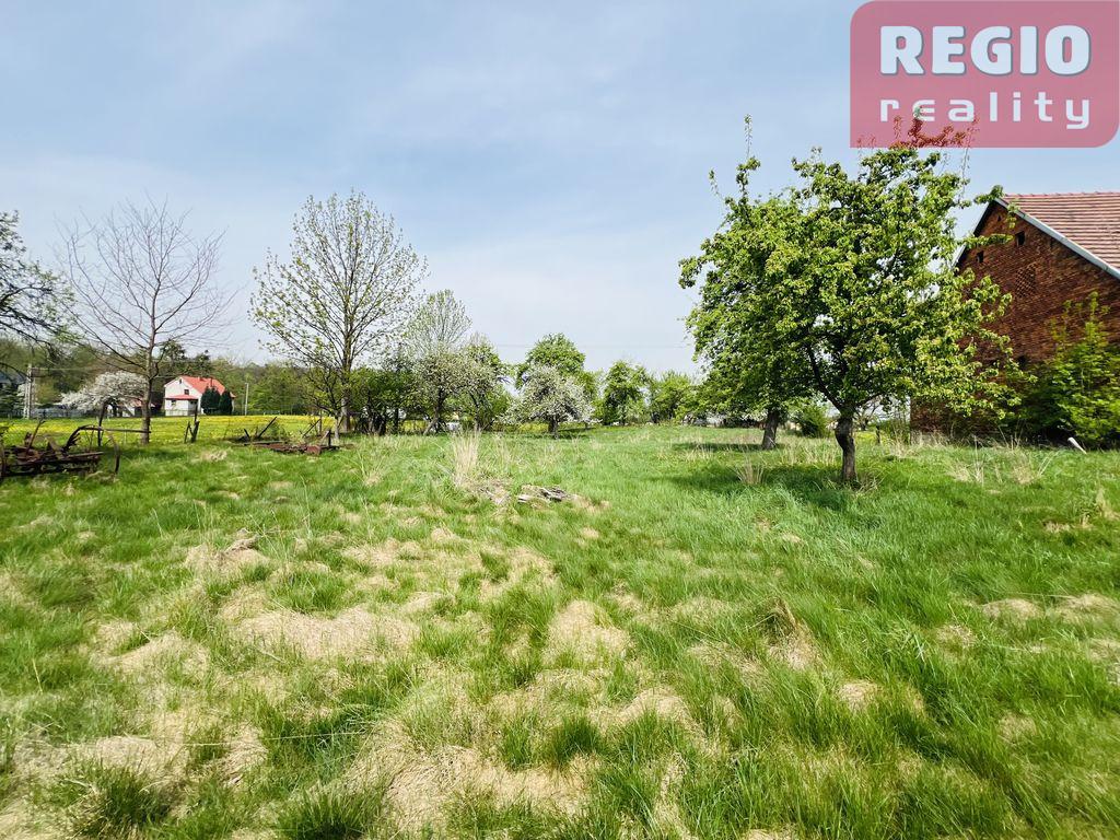 Pronájem pozemku/zahrady cca 4.200 m2, obec Nošovice - 6