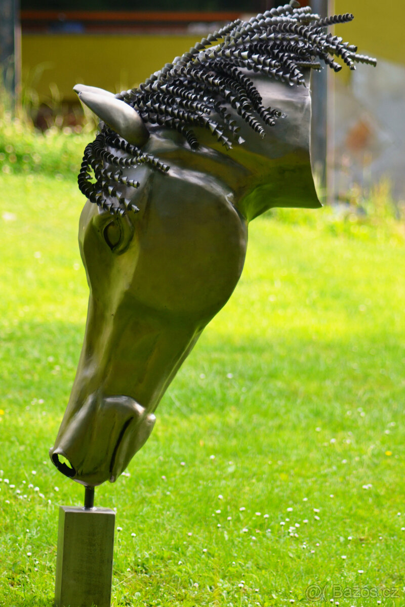 Hlava koně - 6