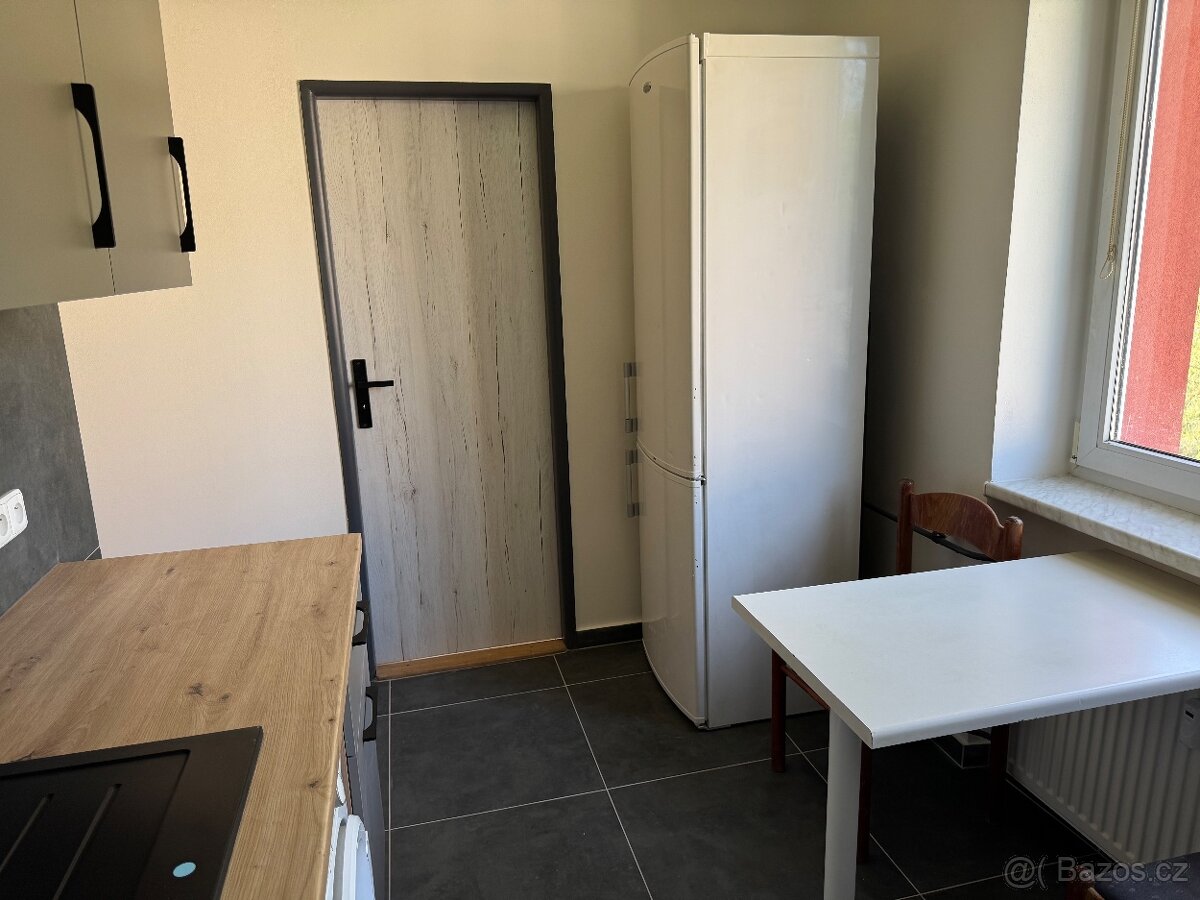 Pronajmu 3+1 v Plane - 6