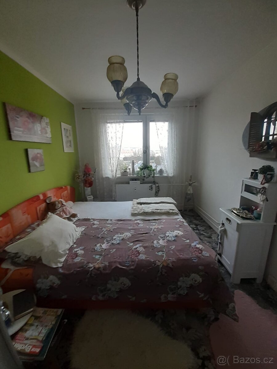 Prodám byt v Krnově - 6