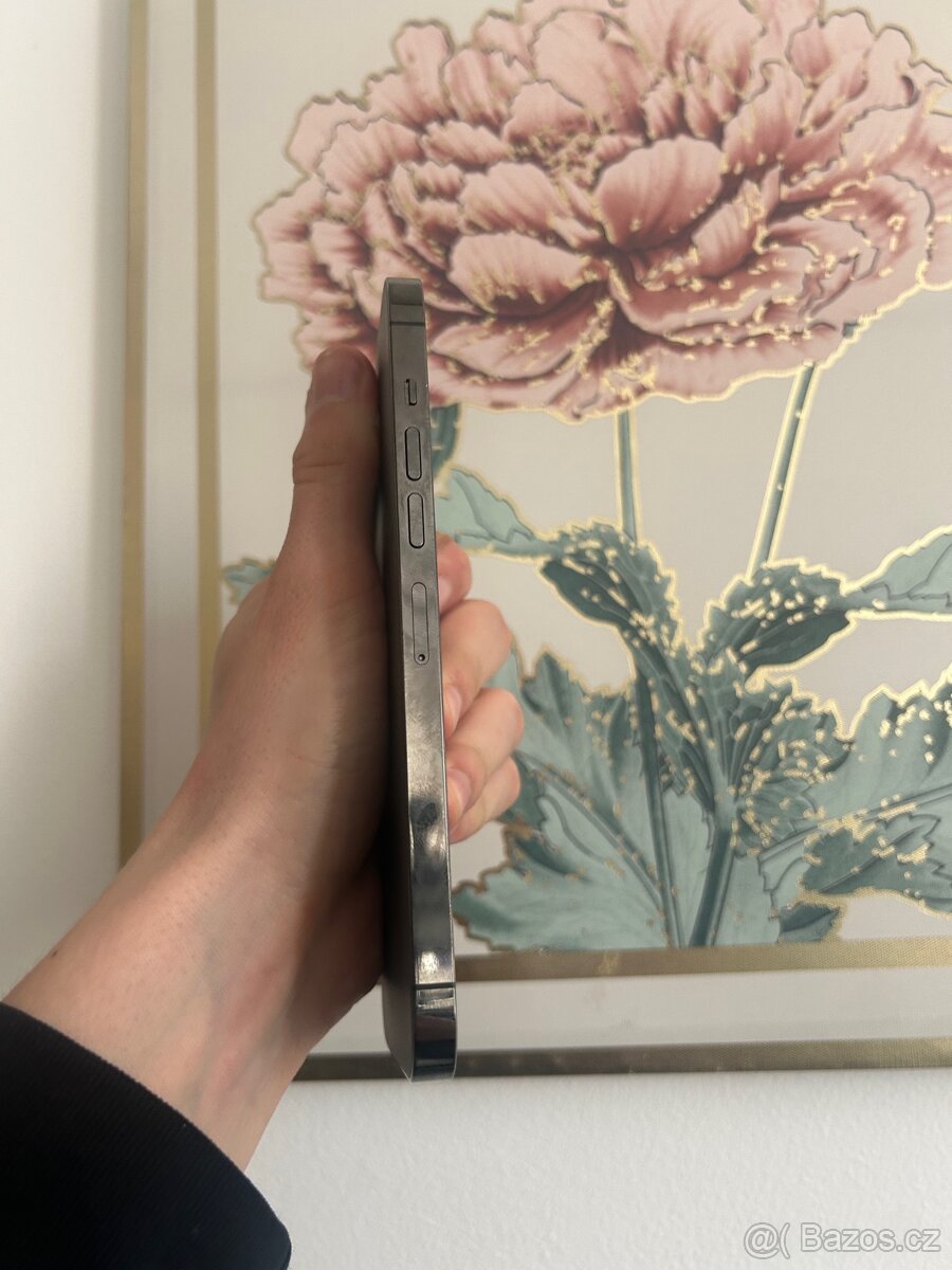 IPhone 13 Pro Max (256gb) - 6