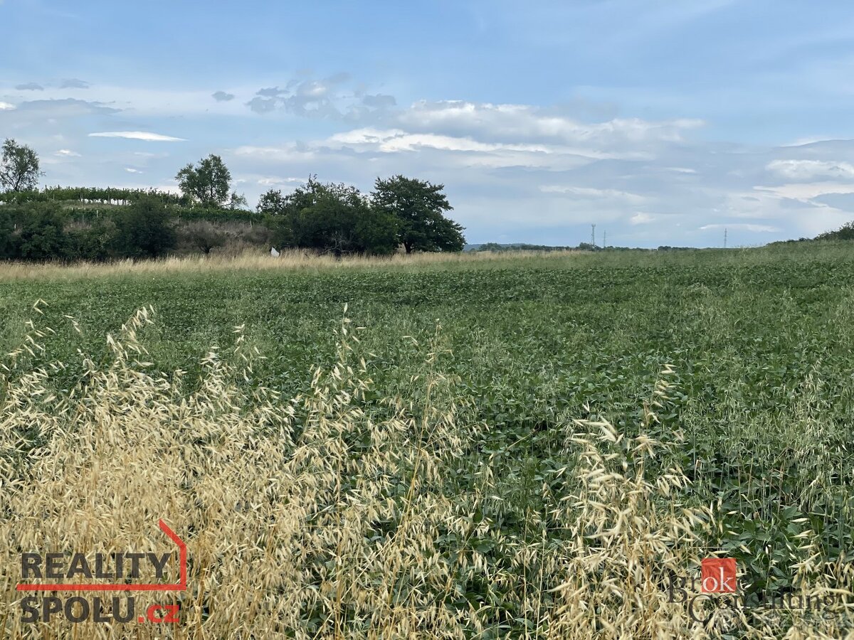 Prodej, pozemky/bydlení, 788 m2, Hustopeče, Břeclav [ID 7392 - 6