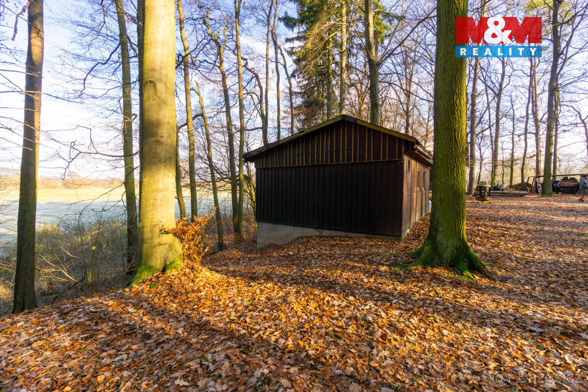 Prodej chaty, pozemek 12 745 m², Štěpánovsko - 6