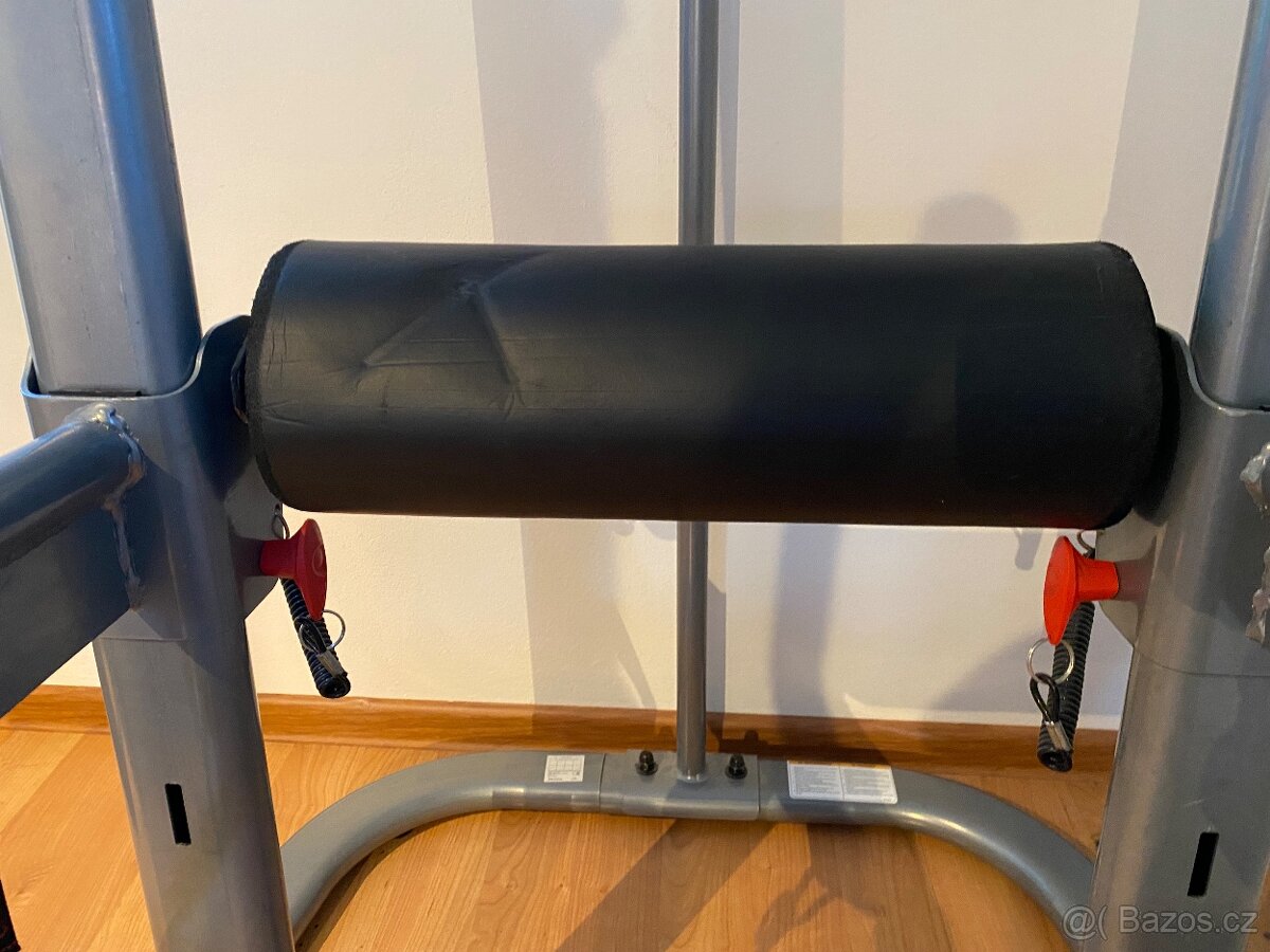 Hrazda a bradla BOWFLEX - 6