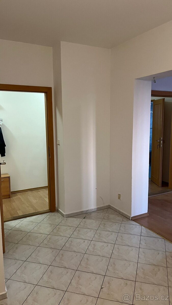 Pronájem bytu 2+1 Bílovec - 6