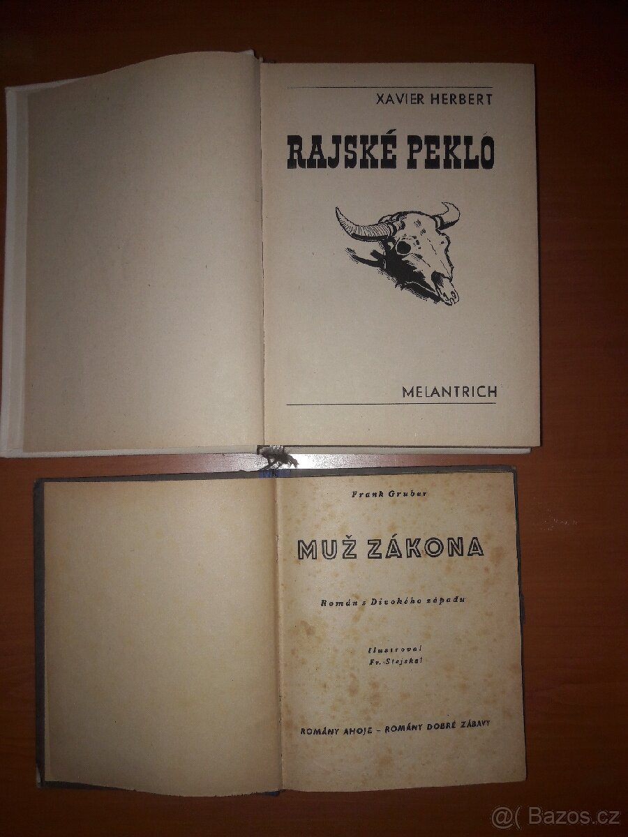 RŮZNÉ DOBRODRUŽNÉ KNIHY - 6