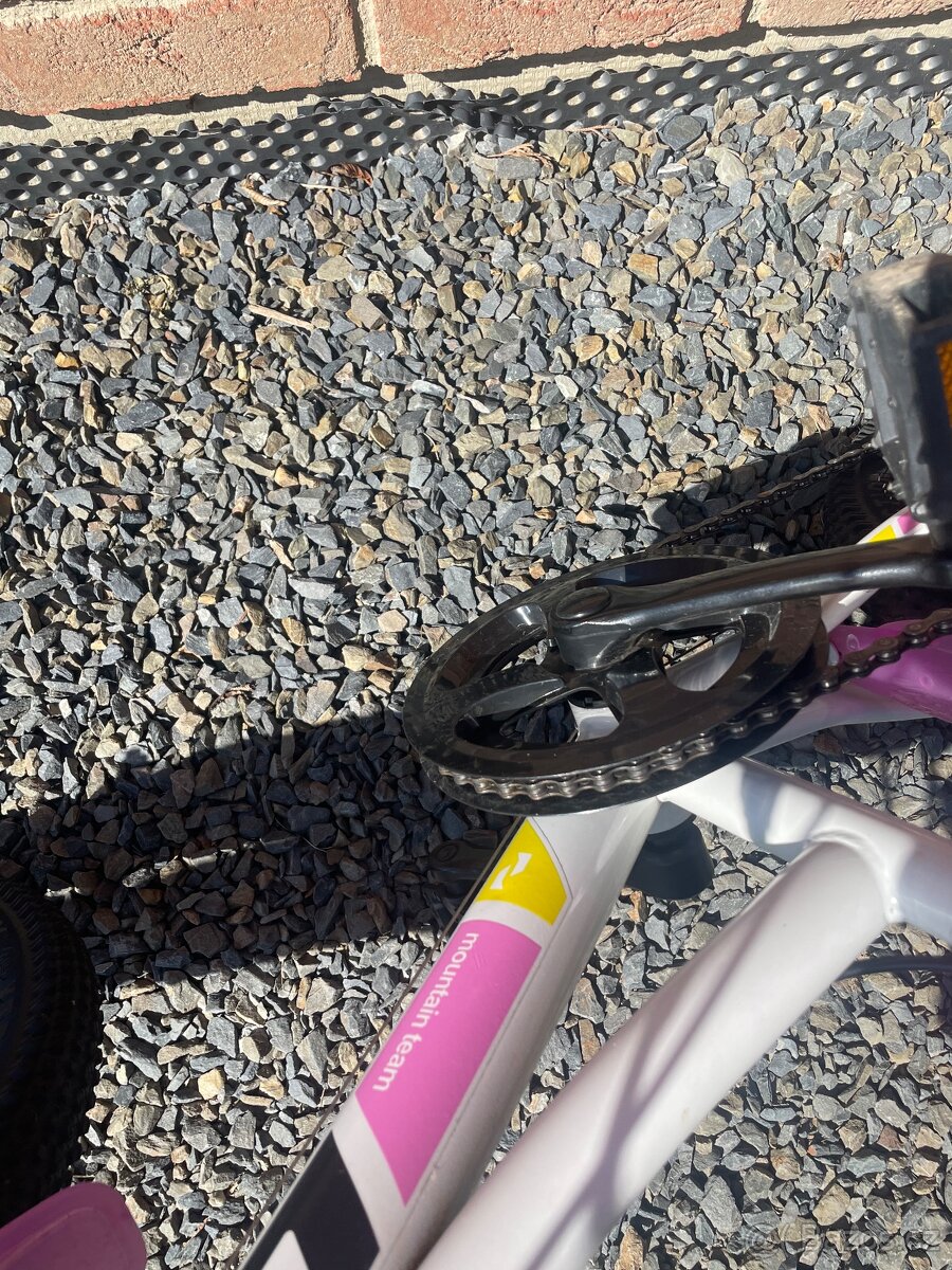 Dívčí kolo Dino bikes - 6