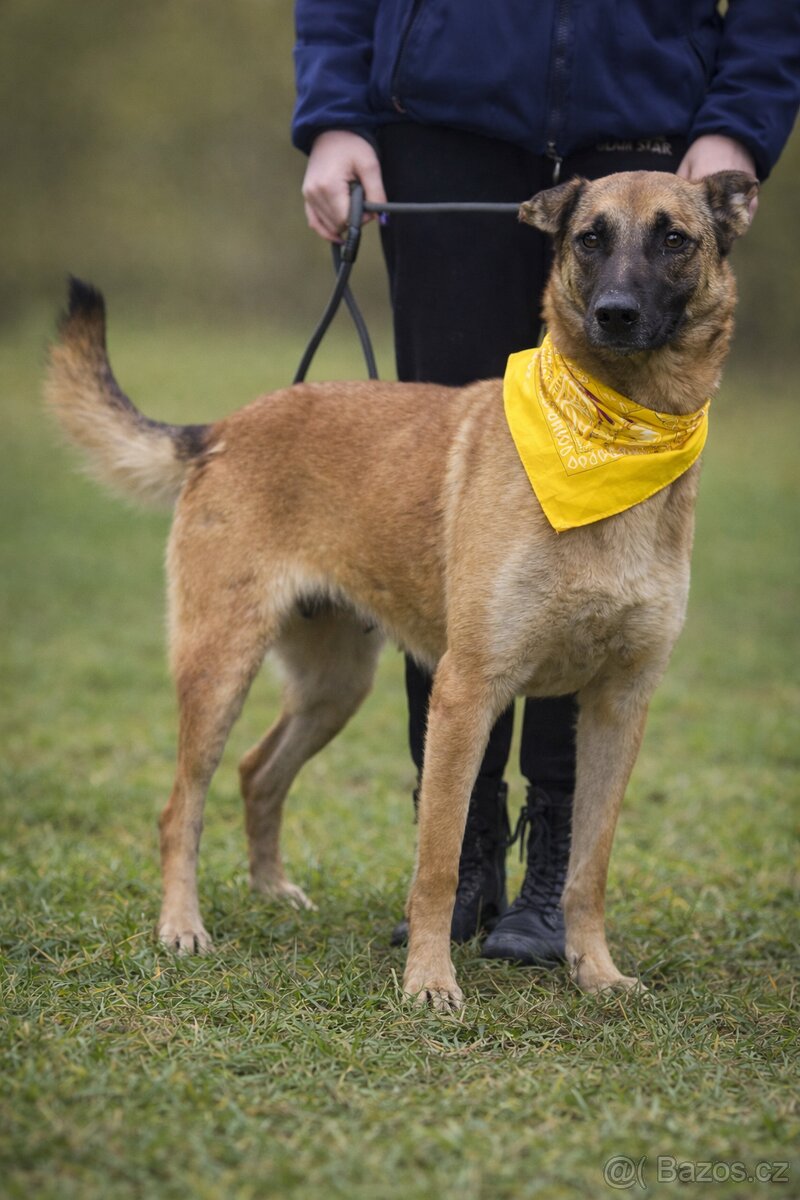 Meggy hledá domov - 6