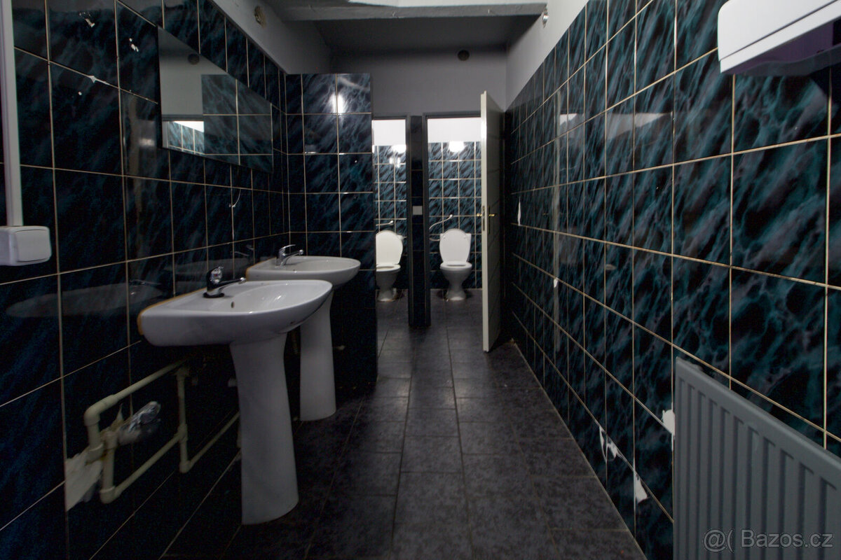 Pronájem, obchodní prostory, 200 m², Chodov, ul. Tovární - 6