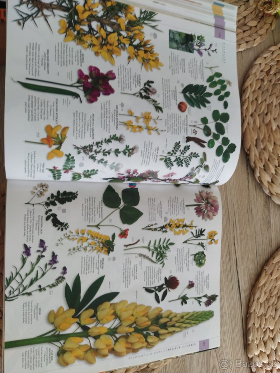 Příroda Velký obrazový průvodce - 6