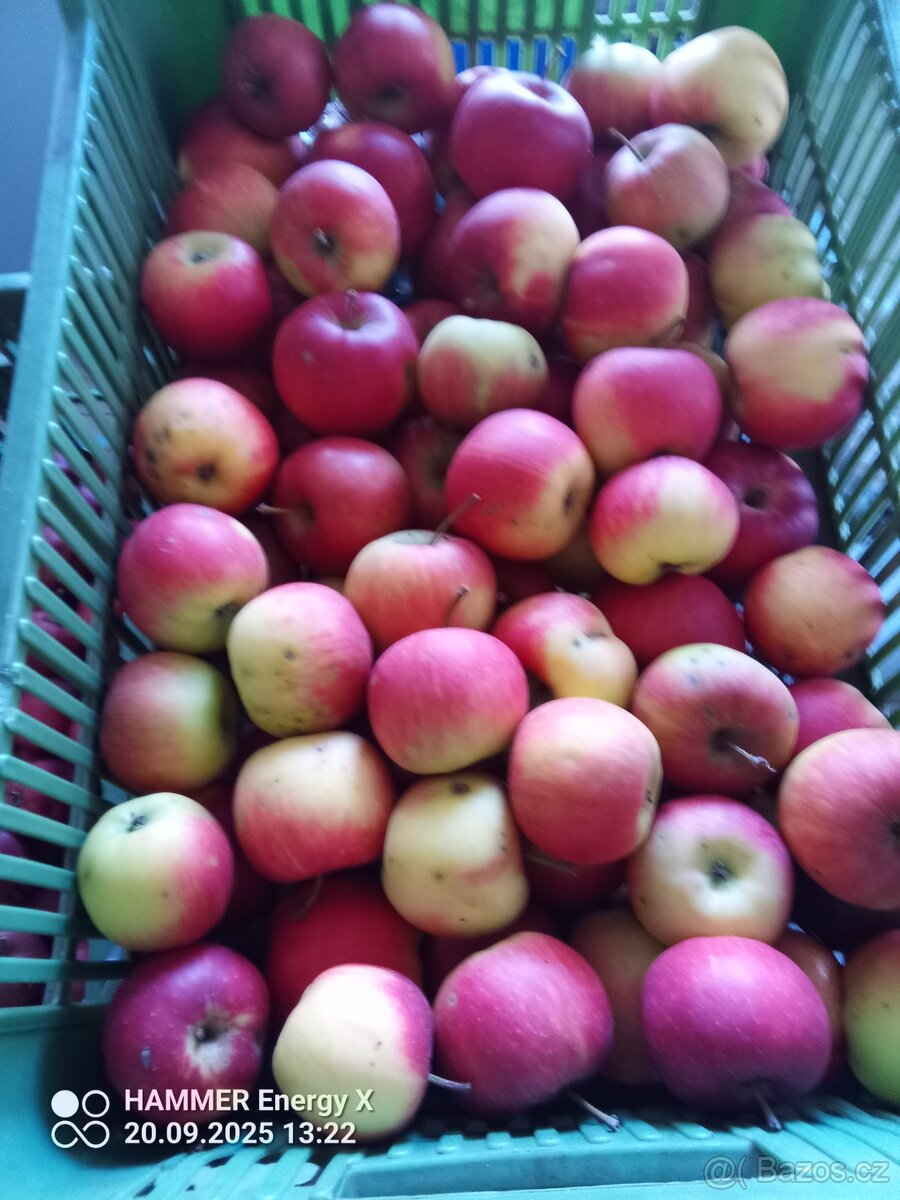 Jablka bio - 6