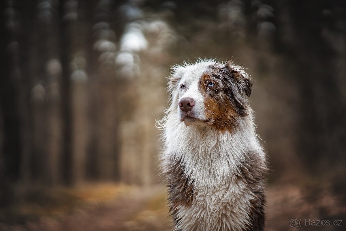 Meopta Meostigmat 92/1,7 Sony E a další - 6