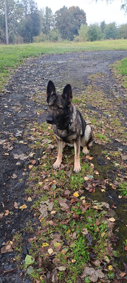 Do dobrých rukou - 6