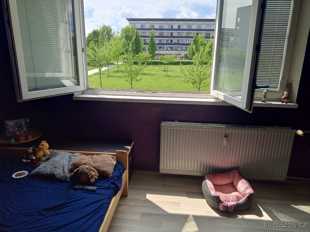 Prodej bytu 2+1 Nové Sady Olomouc - 6